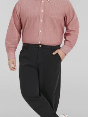 Paul Fredrick Pink Striped Dress Shirt